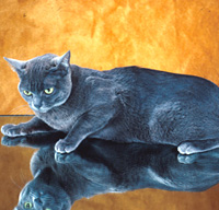 Korat 